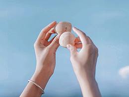 海灘，貝殼，海風(fēng)