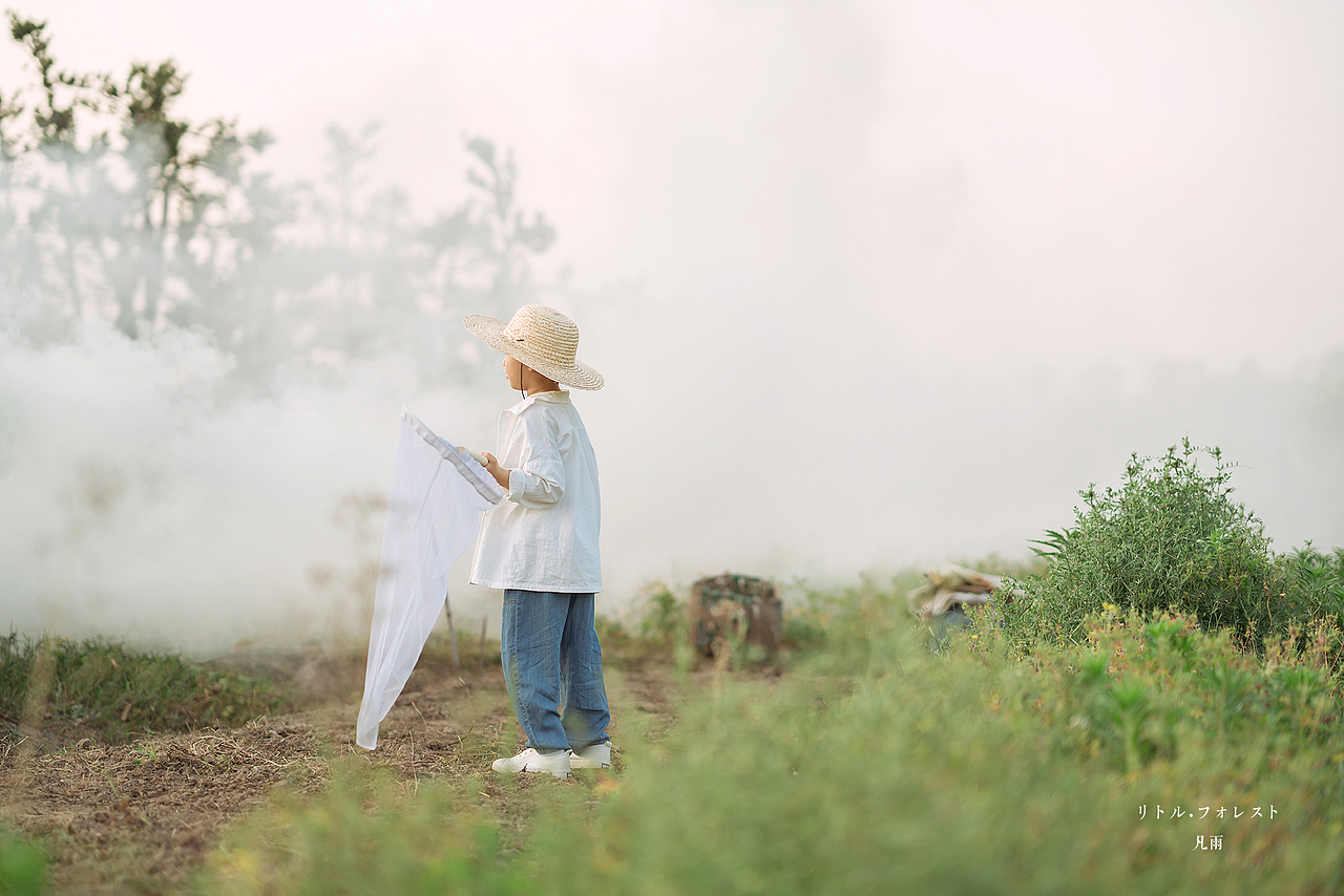 男孩纸的小森林