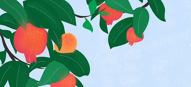 插画初秋石榴熟