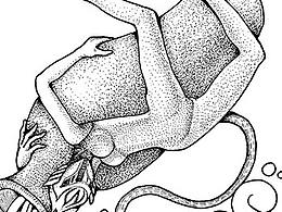 星肖繪 水瓶座 生肖猴