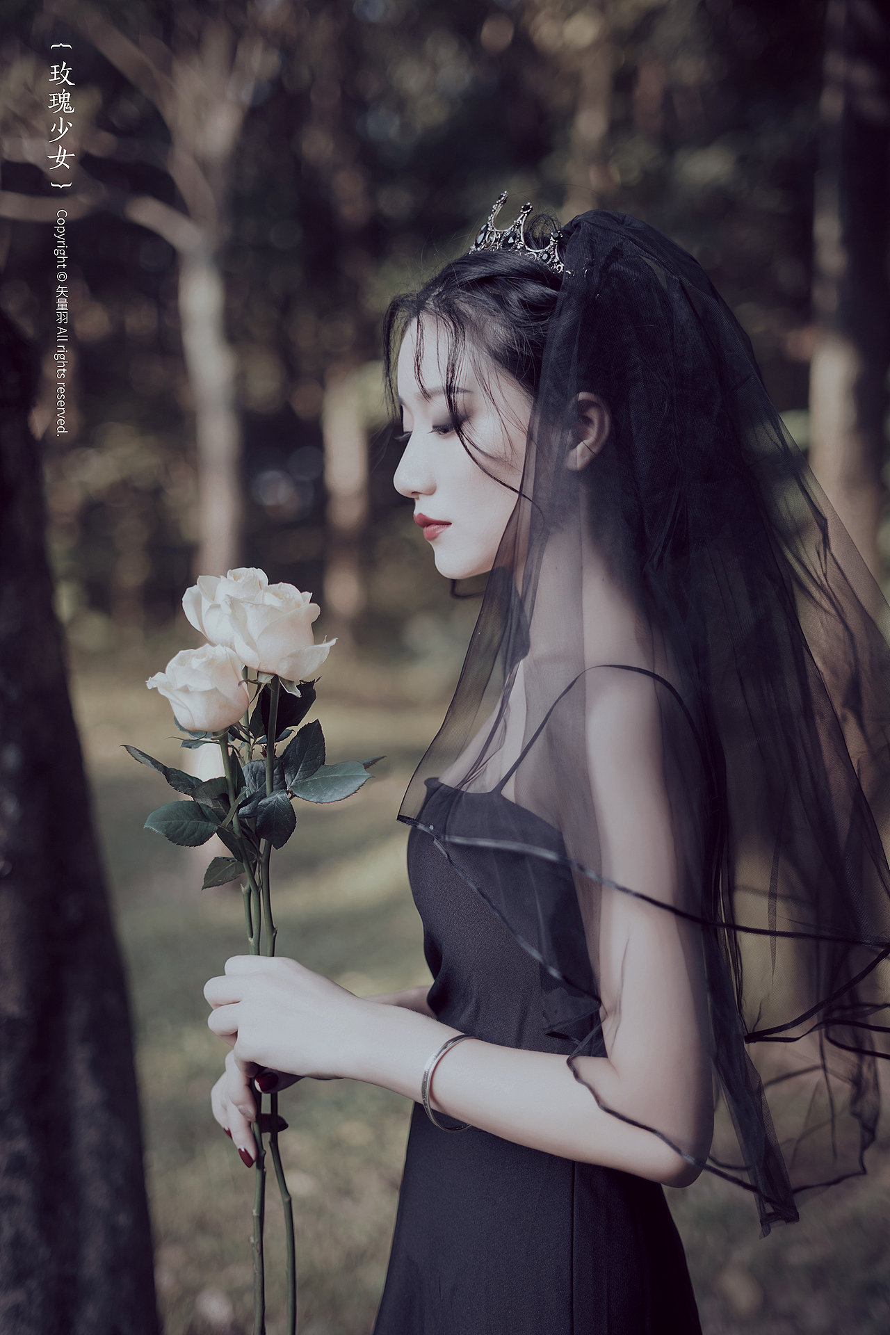 玫瑰少女