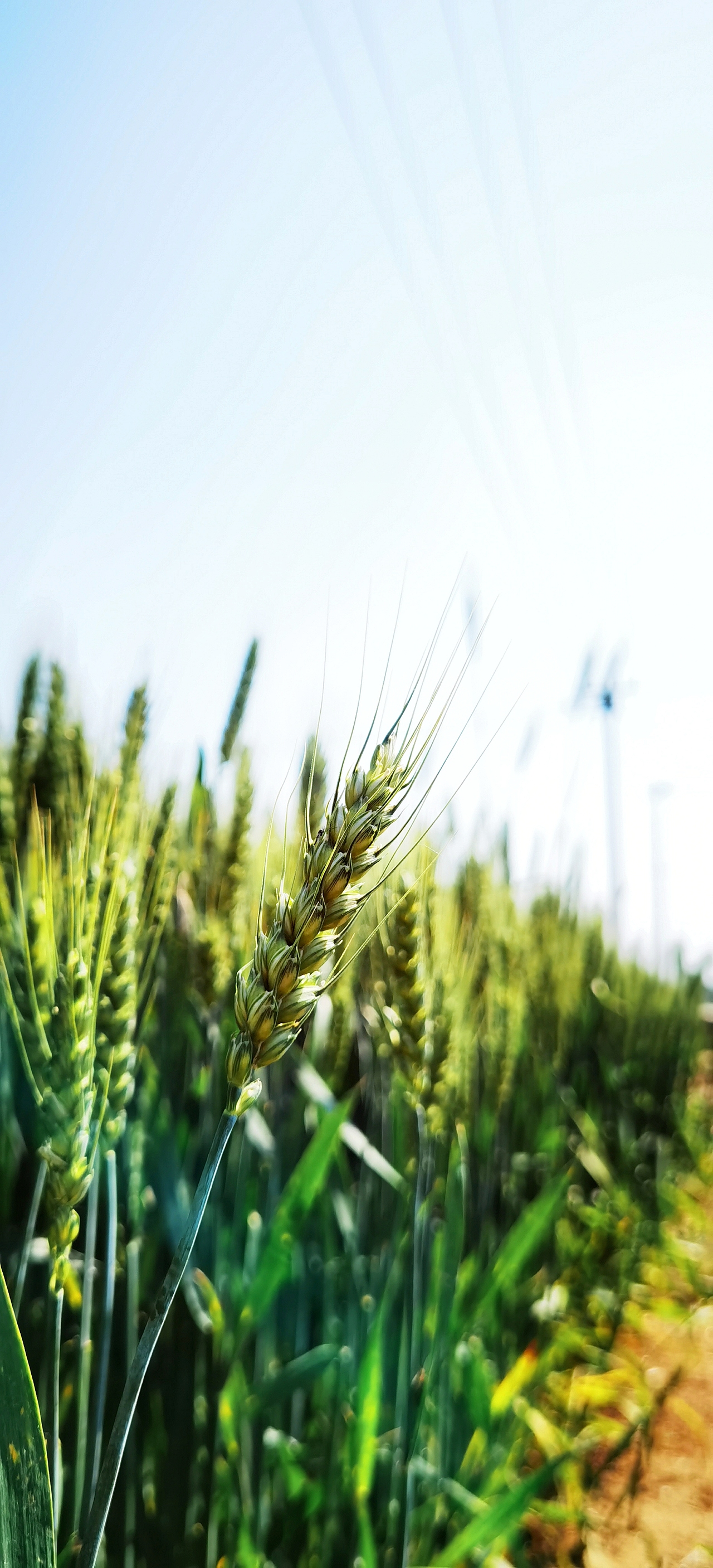 1280_2813竖版 竖屏