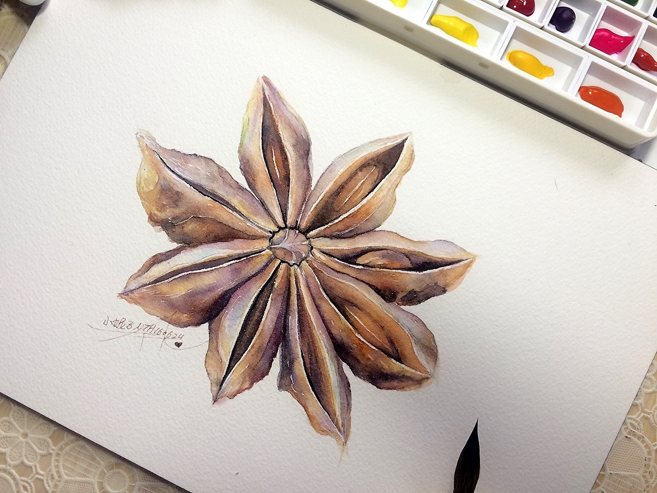 小妮子水彩香料篇八角