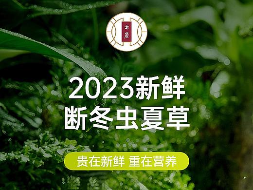 新鲜冬虫夏草详情滋补品页面分享