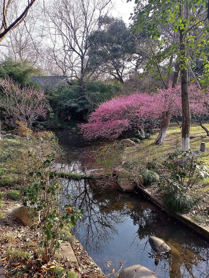 杭州.柳浪闻莺公园（2月打卡）（图ZMzY0Mjk3NTQ0） - 风光摄影 - 站酷设计师东逛西摄原创素材 - 站酷ZCOOL