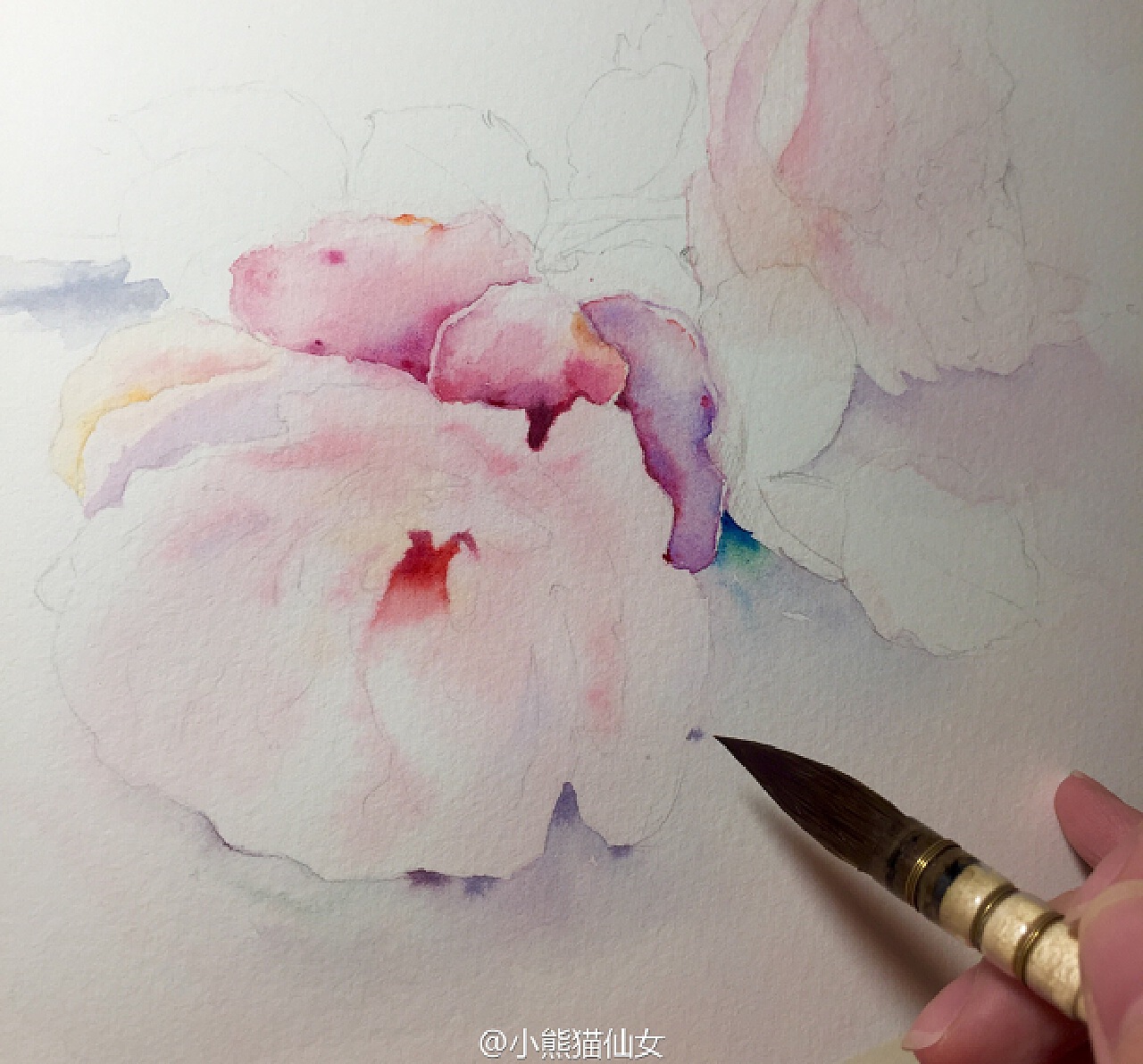 水彩花卉——冷暖色调荷花绘画步骤分享|纯艺术|绘画|又画 - 原创作品 - 站酷 (ZCOOL)