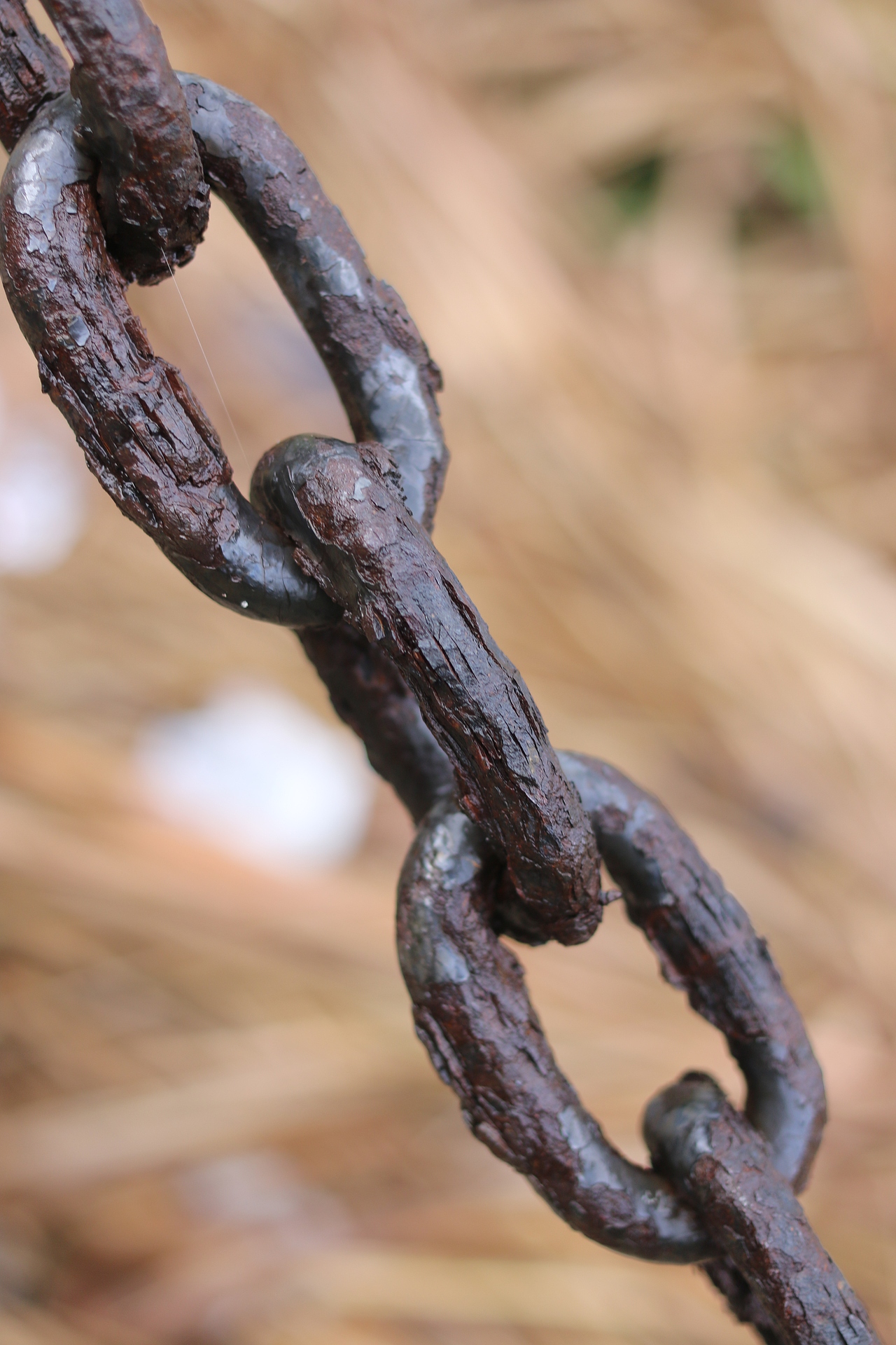 我拍的一些未经修饰的图