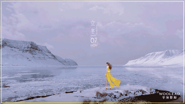 美不冬眠,我领绽放
