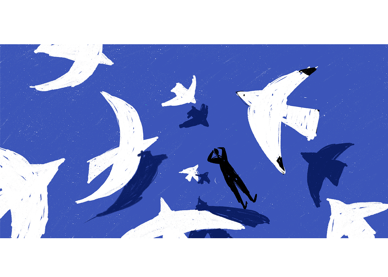 飛鳥(niǎo) - HONOR Talents榮耀全球設(shè)計(jì)大賽2021（圖ZMjg2MDg1MTMy） - 商業(yè)插畫(huà) - 站酷設(shè)計(jì)師xinpingli原創(chuàng)素材 - 站酷ZCOOL