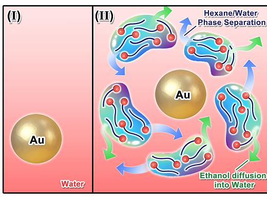 2021年为中科大Liping Song老师绘制机理图