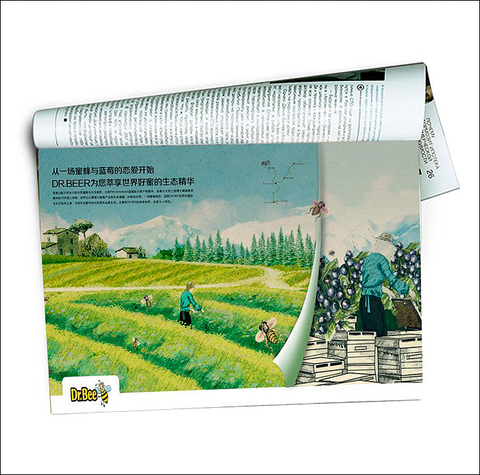 加拿大蜂莓产业品牌DR.BEE中国市场品牌导入