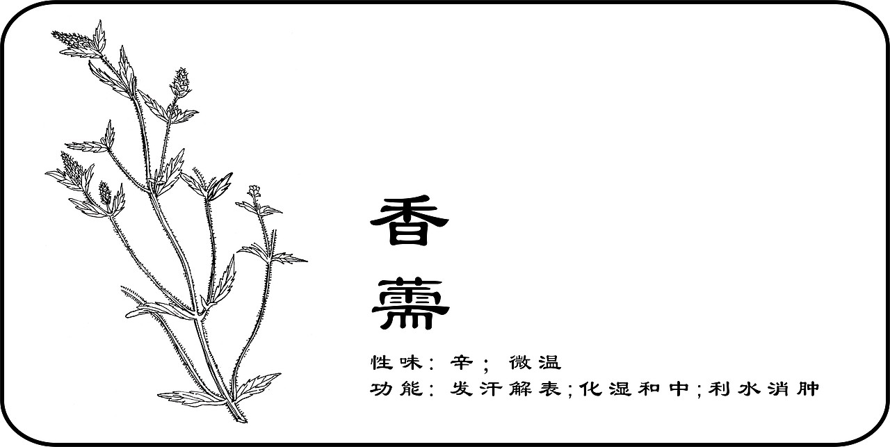 中草药手绘标示（图ZMzY3NTI3MzY=） - 创作习作 - 站酷设计师一二零七原创素材 - 站酷ZCOOL