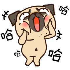 哈哈!
