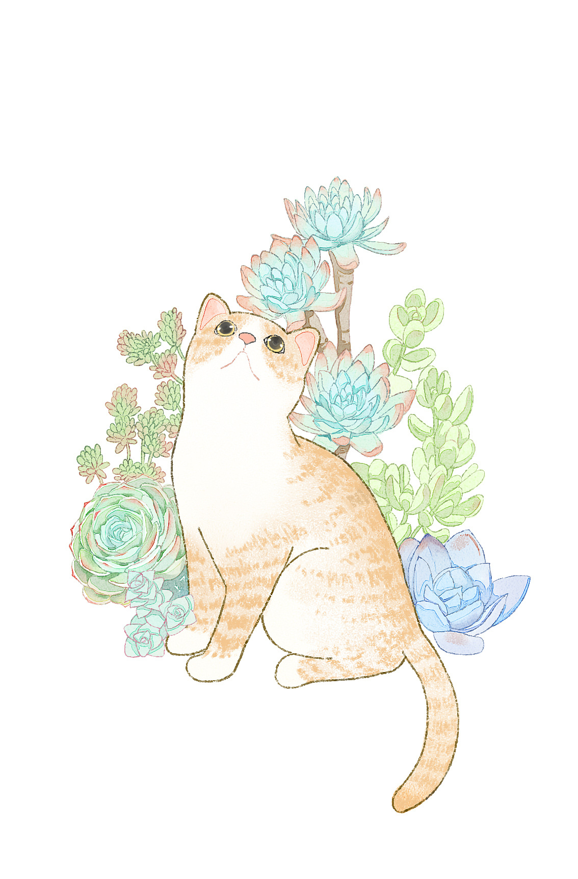 多肉和喵（一）（图ZMTQ3NTE0MzYw） - 创作习作 - 站酷设计师软趴趴lala原创素材 - 站酷ZCOOL