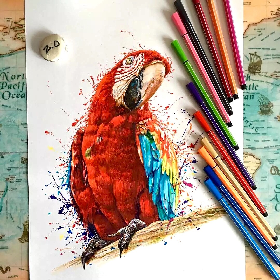 ZD水彩筆鸚鵡。（圖ZNDcyNTY0NTY=） - 繪畫 - 站酷設(shè)計師AisinGioroZD周丹原創(chuàng)素材 - 站酷ZCOOL
