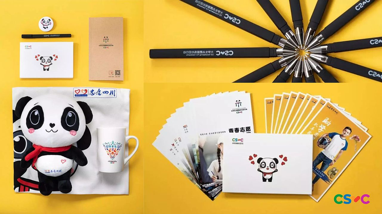 四川大学生志愿社区行动设计