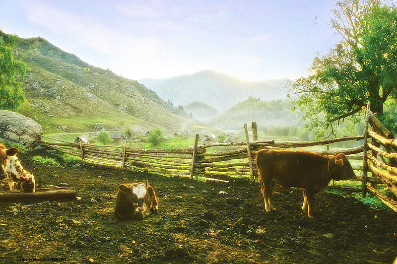 一个人像摄影师2013年的12张风景（图ZMTMzMzUxNzI=） - 风光摄影 - 站酷设计师海螺壳原创素材 - 站酷ZCOOL