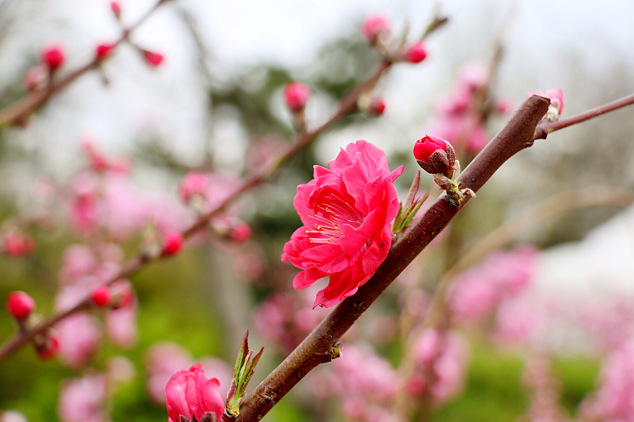 静物（图ZMzMxMTc1MTI=） - 产品摄影 - 站酷设计师scholar_roc原创素材 - 站酷ZCOOL