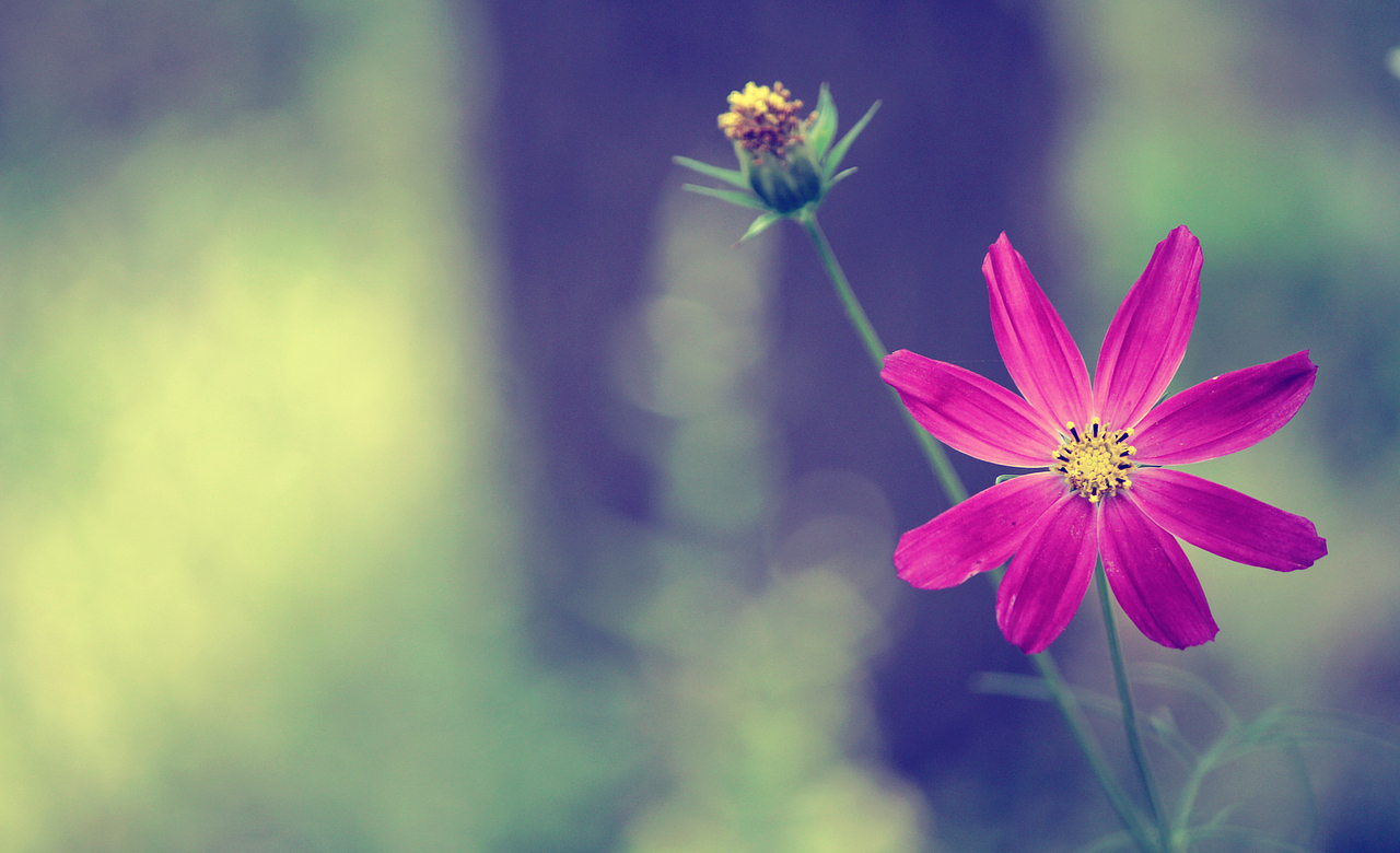 行走天際的路（圖ZMzMzMzIxMjg=） - 風(fēng)光攝影 - 站酷設(shè)計師東區(qū)一匹狼原創(chuàng)素材 - 站酷ZCOOL