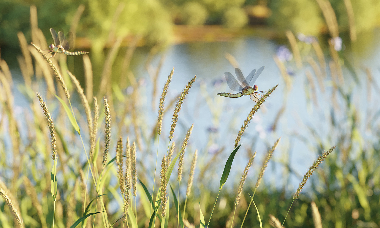 户外家具渲染——夏日晚风