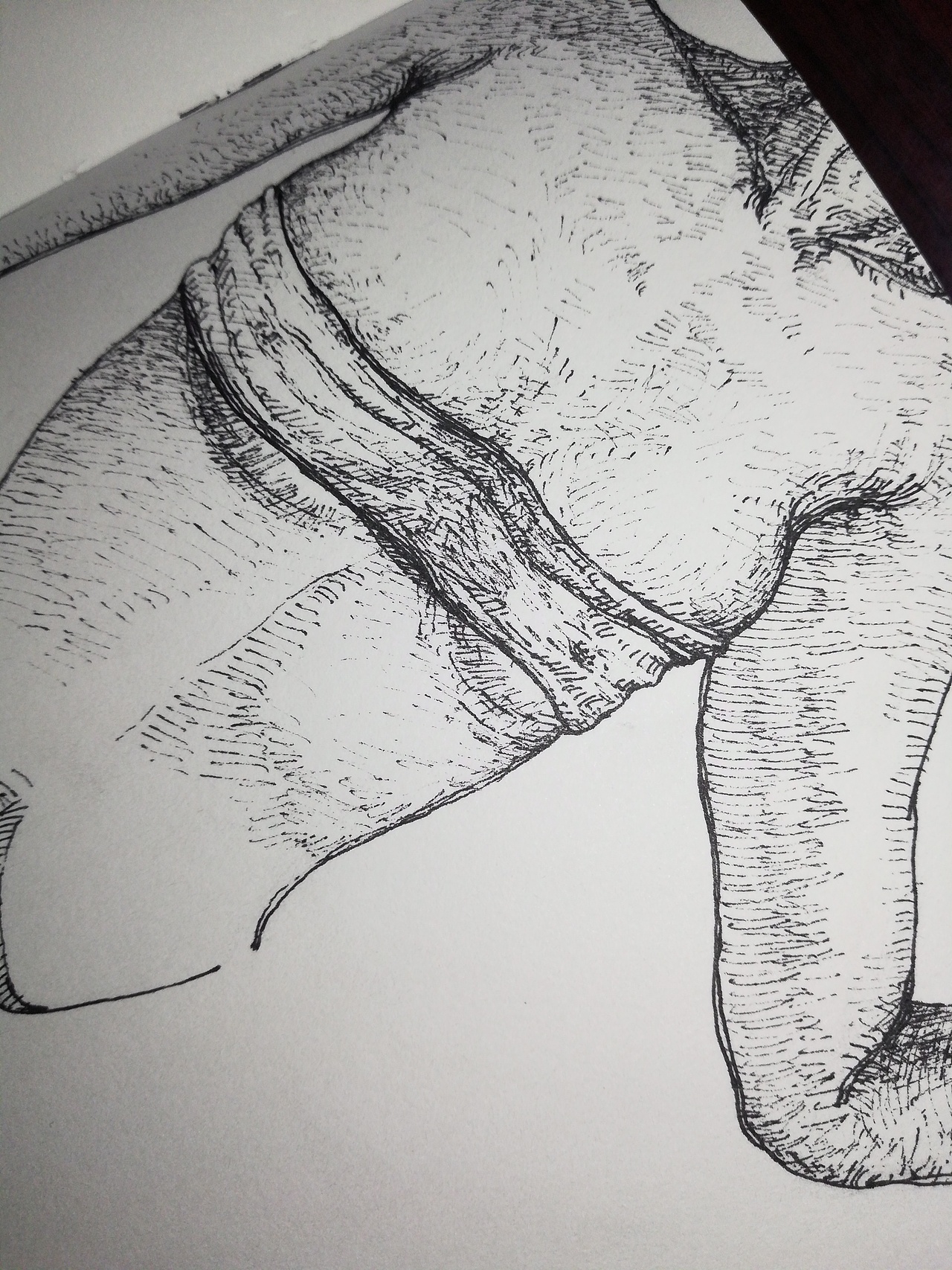 看（图ZMTE4NDQzNzU2） - 绘画 - 站酷设计师超级大反派原创素材 - 站酷ZCOOL