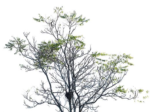 甘肃天水