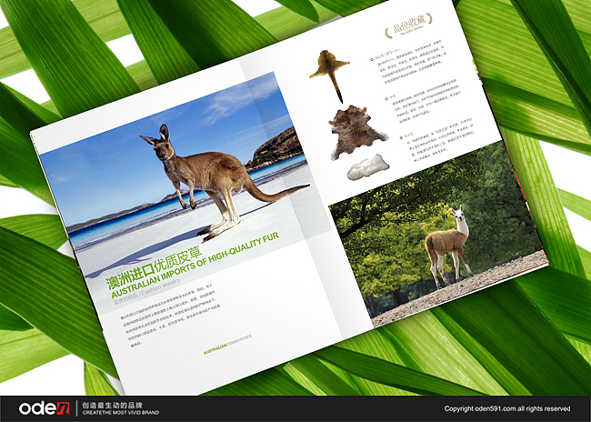 画册设计 包装设计 进口牛肉 红酒 保健品 奥登文化（图ZODAyNzg2OA==） - 宣传物料 - 站酷设计师oden奥登文化原创素材 - 站酷ZCOOL