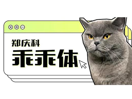 郑庆科乖乖体