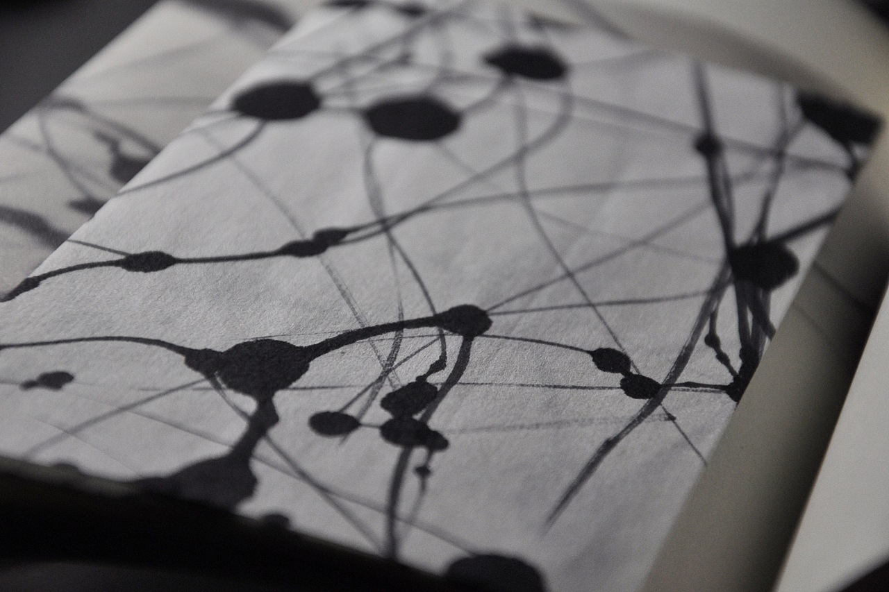 自然的痕迹 —— 迟来的毕业设计