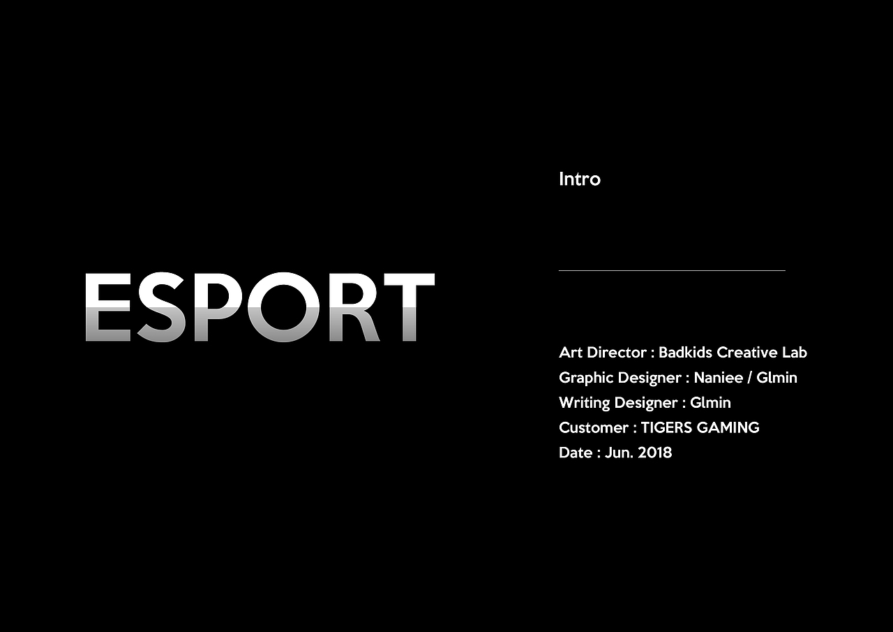 TIGERS GAMING 电竞品牌设计