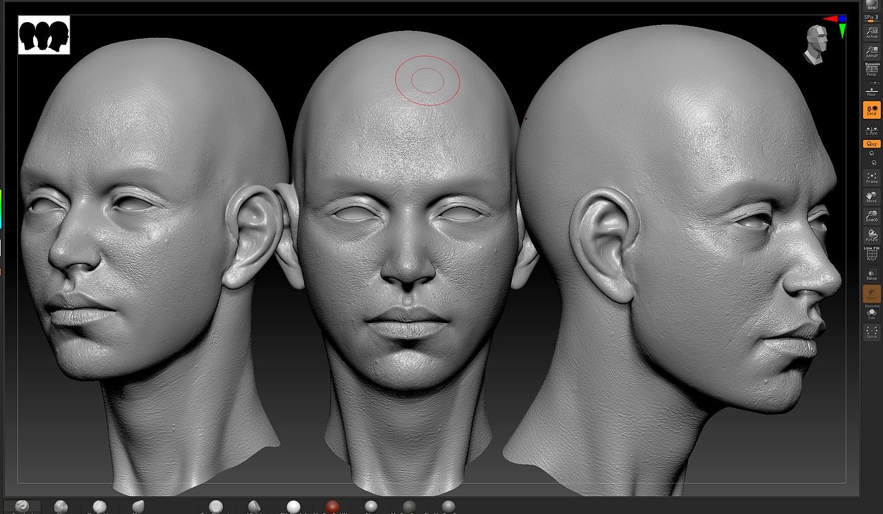 NUOVA（图ZMjc3OTk1MzAw） - 其他三维 - 站酷设计师侯伯Sur原创素材 - 站酷ZCOOL