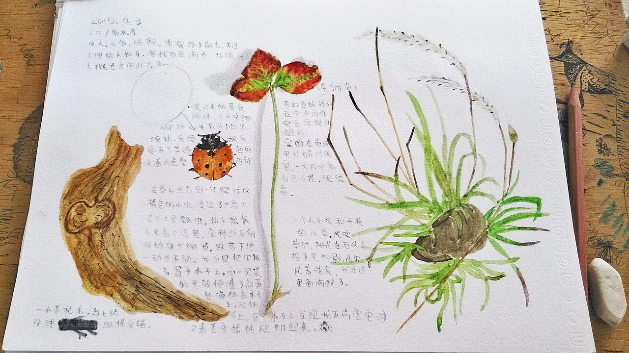 【自然笔记】