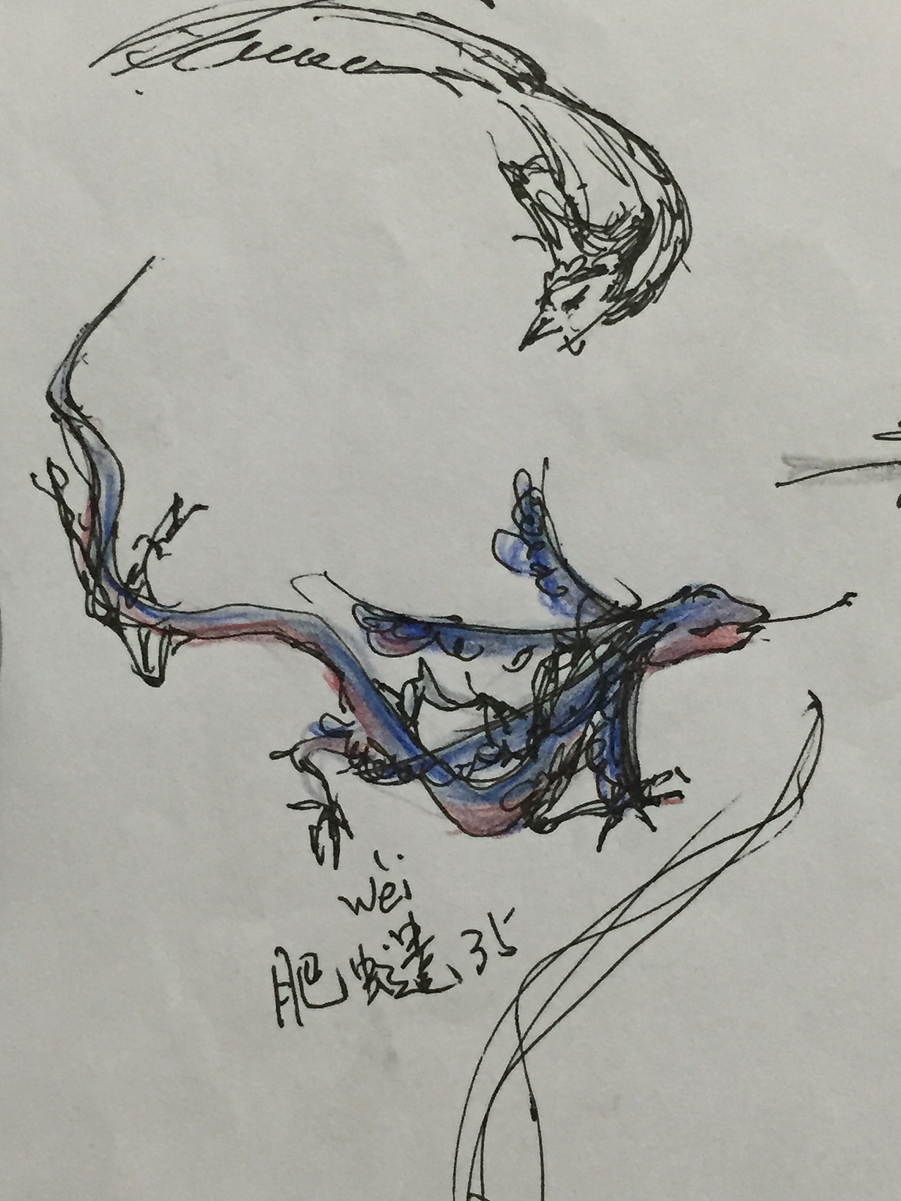 《山海经系列之肥【虫遗】》