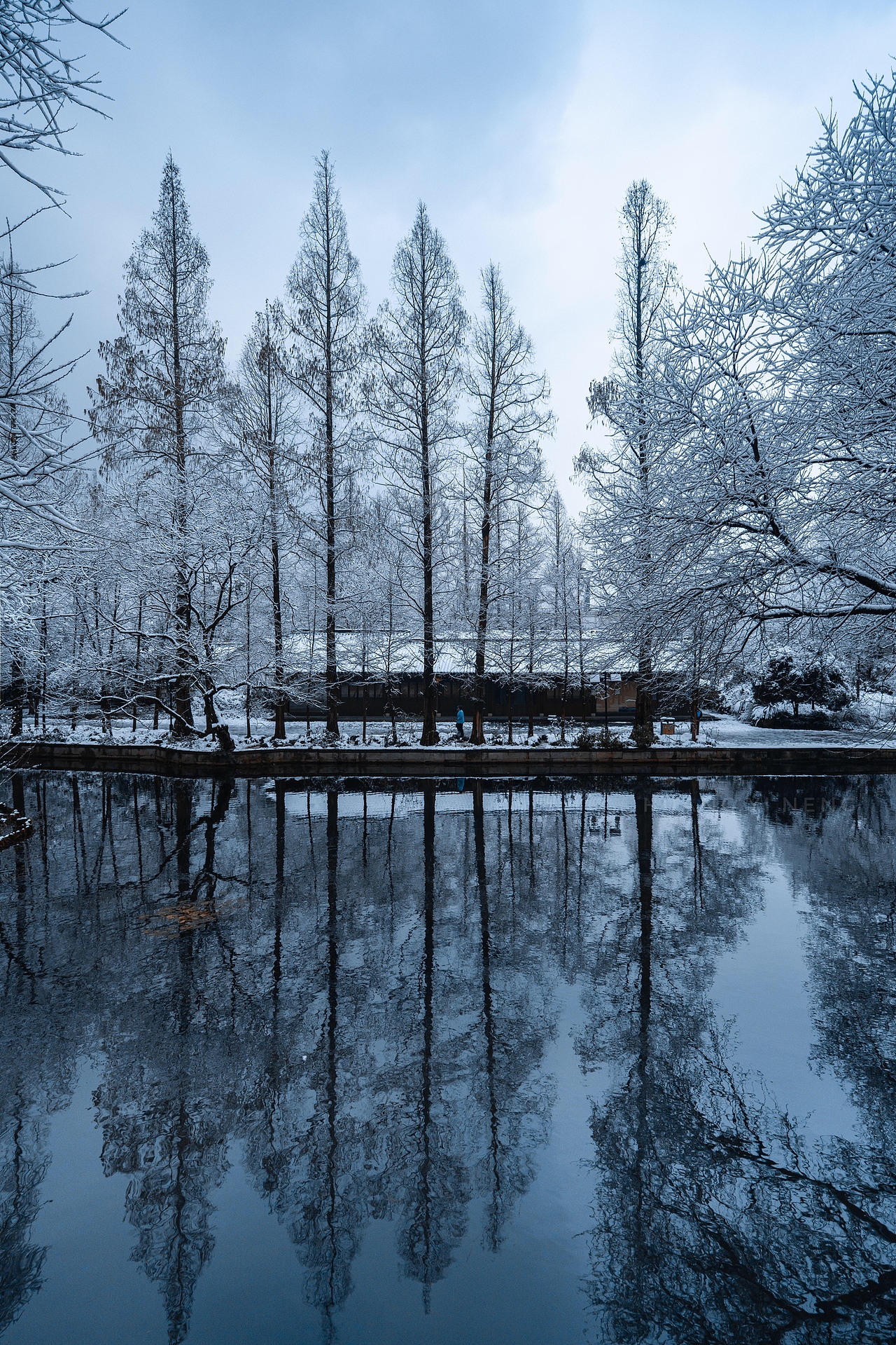 看看古意浓浓的杭州茅家埠雪景吧!