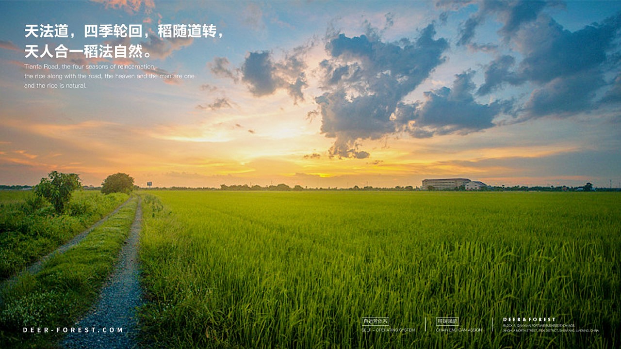 米业全案策划IP延展品牌设计#秉晟文化#