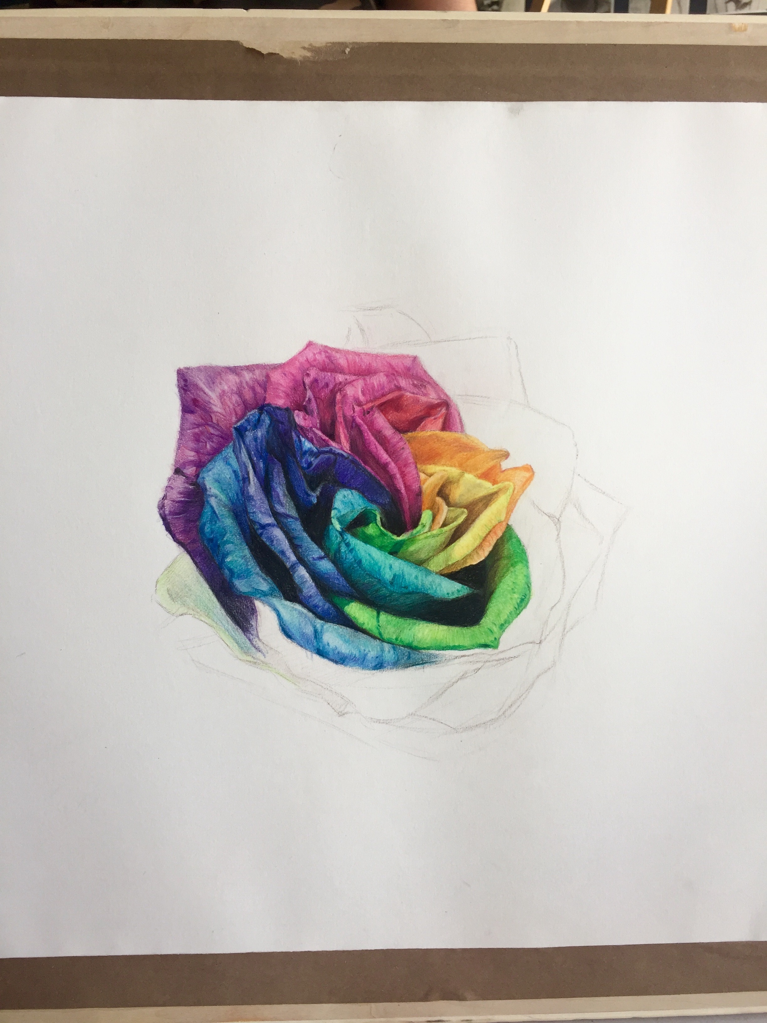 油性彩铅七彩玫瑰