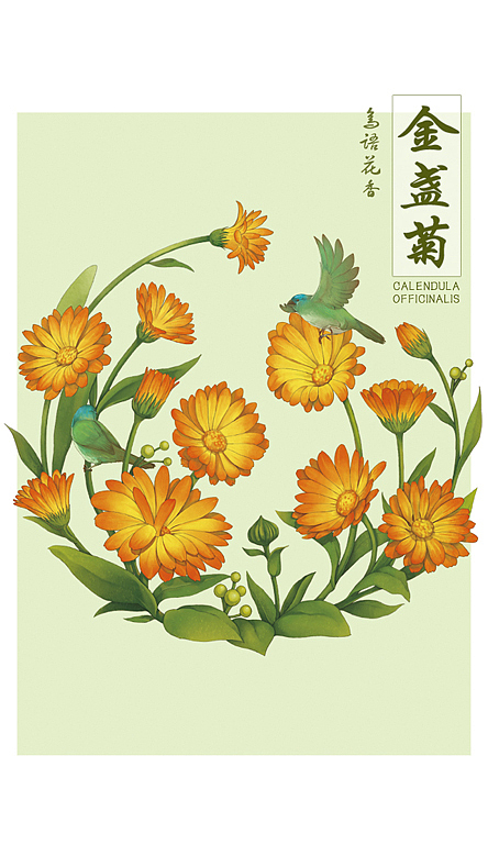 花鸟系列（图ZMjQ1NzQ5MTI=） - 商业插画 - 站酷设计师蔡一昕原创素材 - 站酷ZCOOL