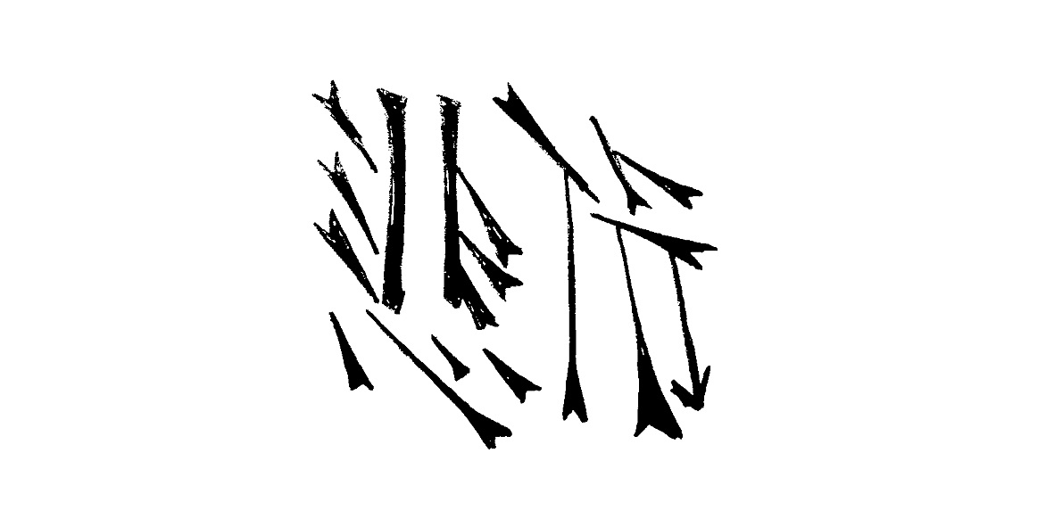 字体习作 |平面|字体/字形|大红的小画 - 原创作品 - 站酷 (zcool)