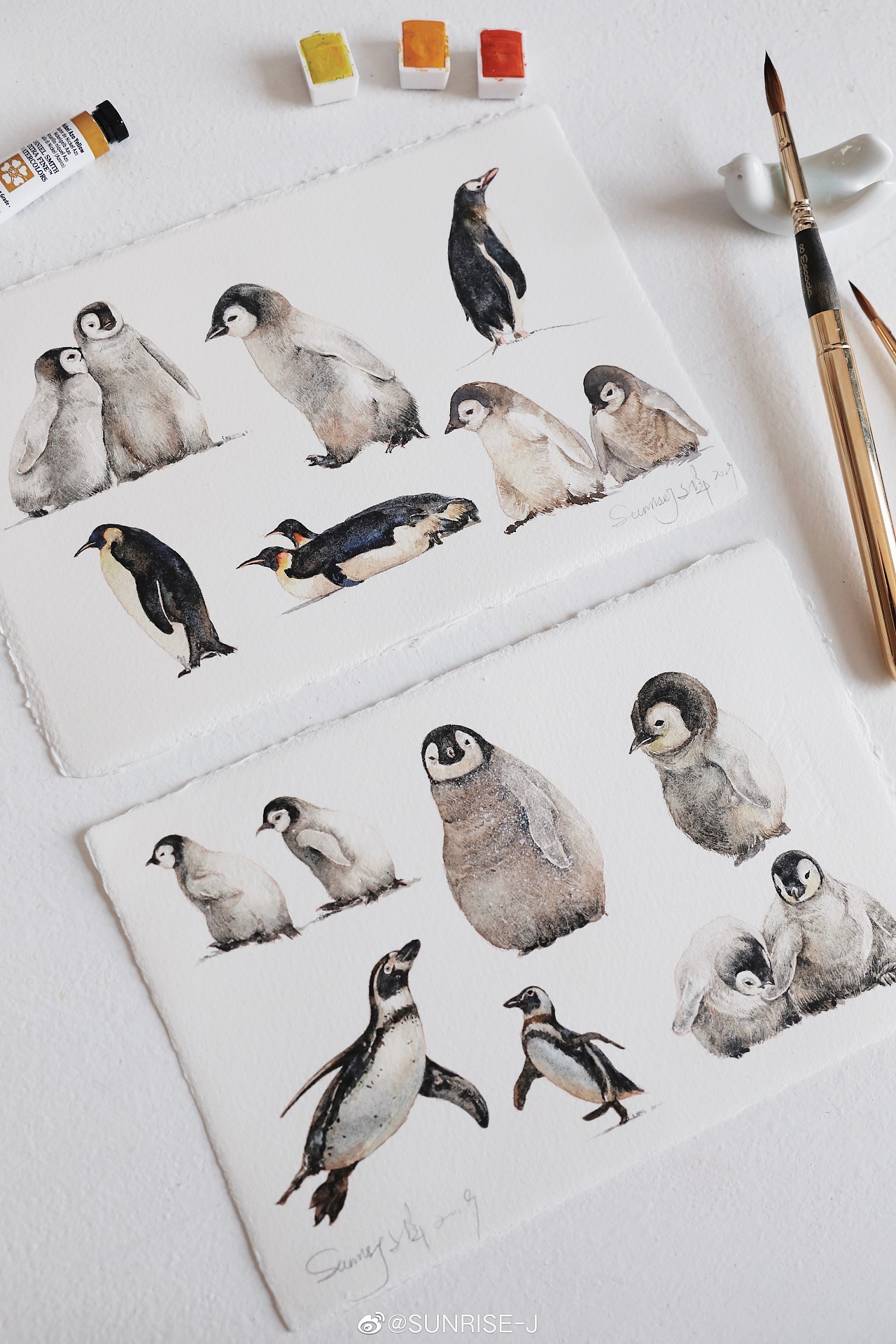 水彩企鹅绘画过程