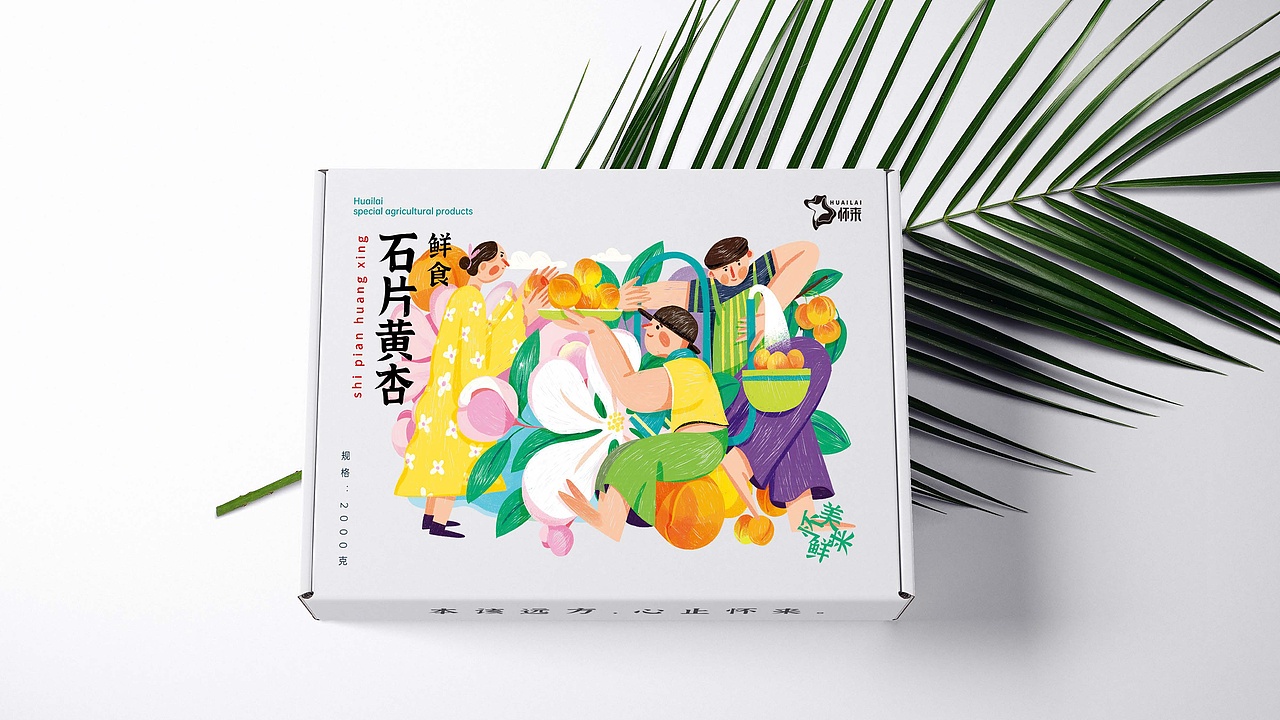 2021年中插画总结