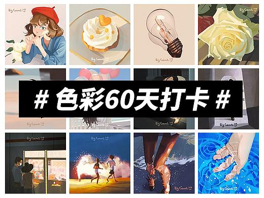 色彩60天打卡记录
