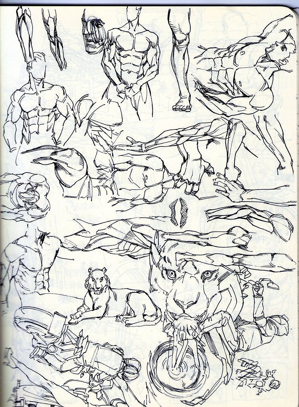 夹心山楂的随笔速写