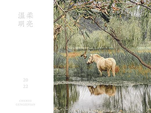 风光一缕 云南之行 《二零一九》（个人主页-ZNTc1NjUzNzY=） - 风光摄影 - 站酷设计师宸瑜PATIENTS原创素材 - 站酷ZCOOL