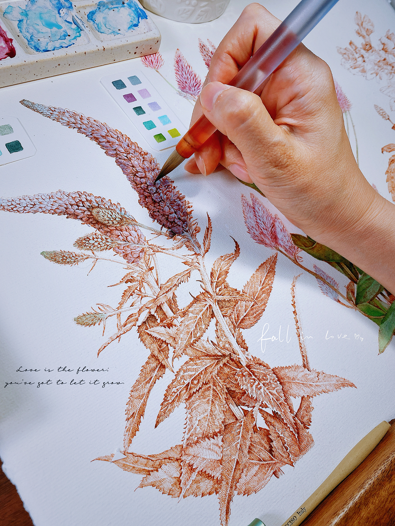 蘸水笔针管笔｜三种尾巴草（图ZMzc0NjQ2NTY0） - 艺术插画 - 站酷设计师CatCastleDZ原创素材 - 站酷ZCOOL