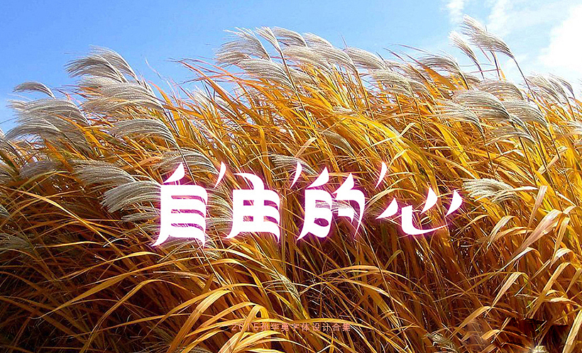 孙华勇2015字体合集