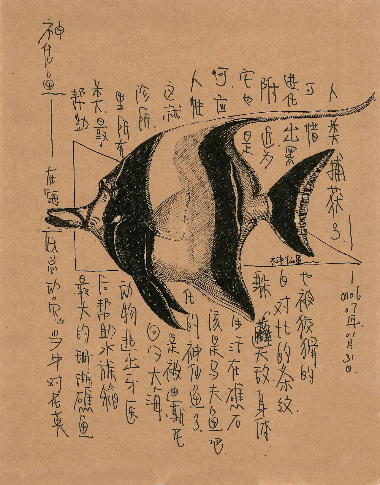这个关于海鲜的插画手稿（终）（图ZMTM2ODEwOTg0） - 创作习作 - 站酷设计师daimol原创素材 - 站酷ZCOOL