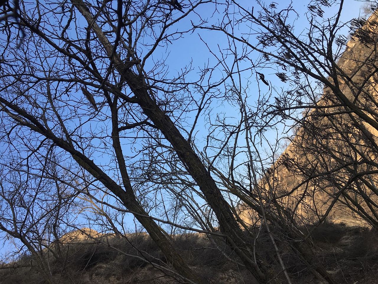 冬日山景 ——撿漏大自然（圖ZMjI1MjI0NTQ0） - 人文/紀(jì)實攝影 - 站酷設(shè)計師半斤云原創(chuàng)素材 - 站酷ZCOOL