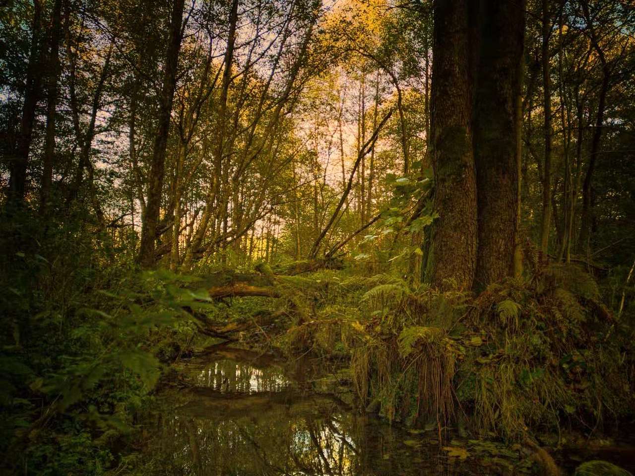 vordo女表人物创作拍摄（原图）（图ZMTM1ODYwNjEy） - 人像摄影 - 站酷设计师叁者商业摄影原创素材 - 站酷ZCOOL