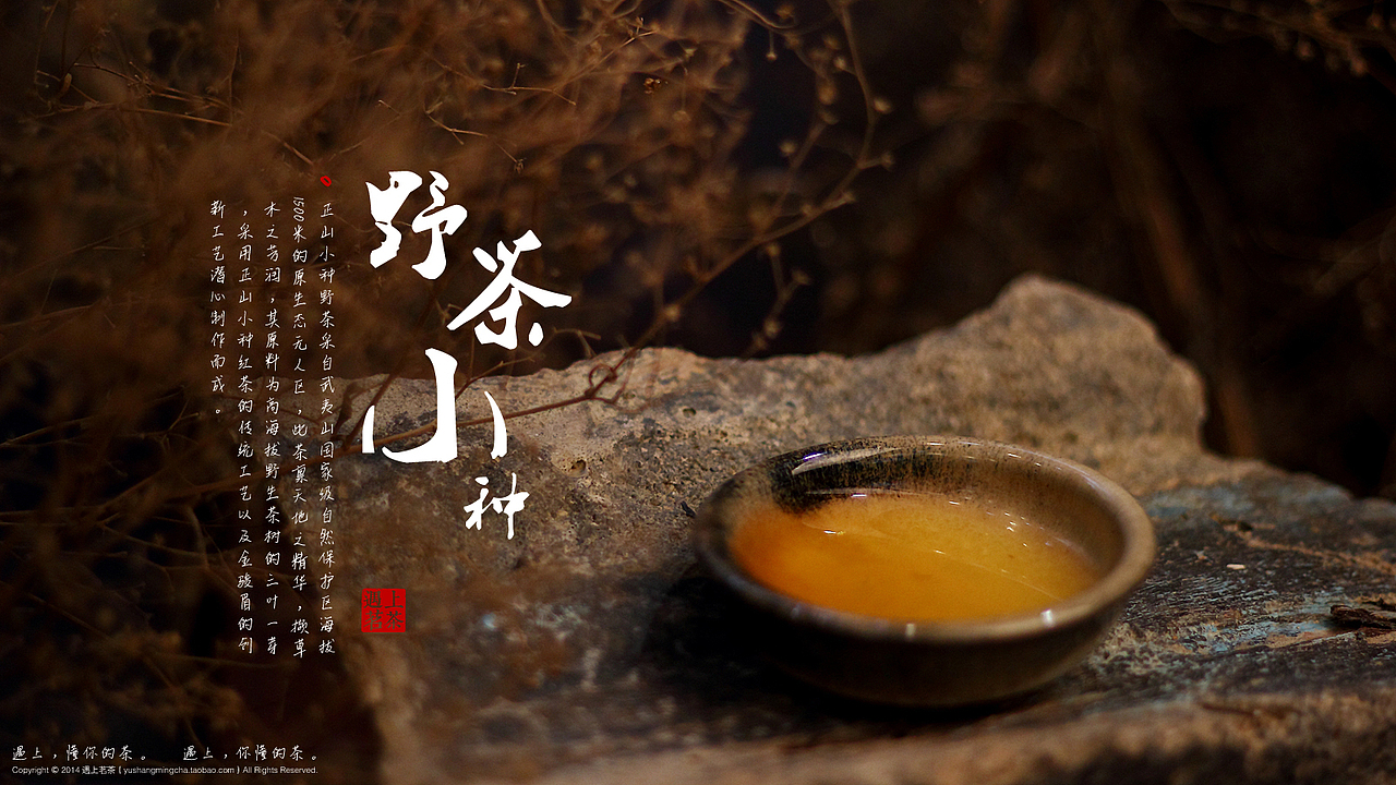给厦门“遇上茗茶”店拍摄的“野茶小种”