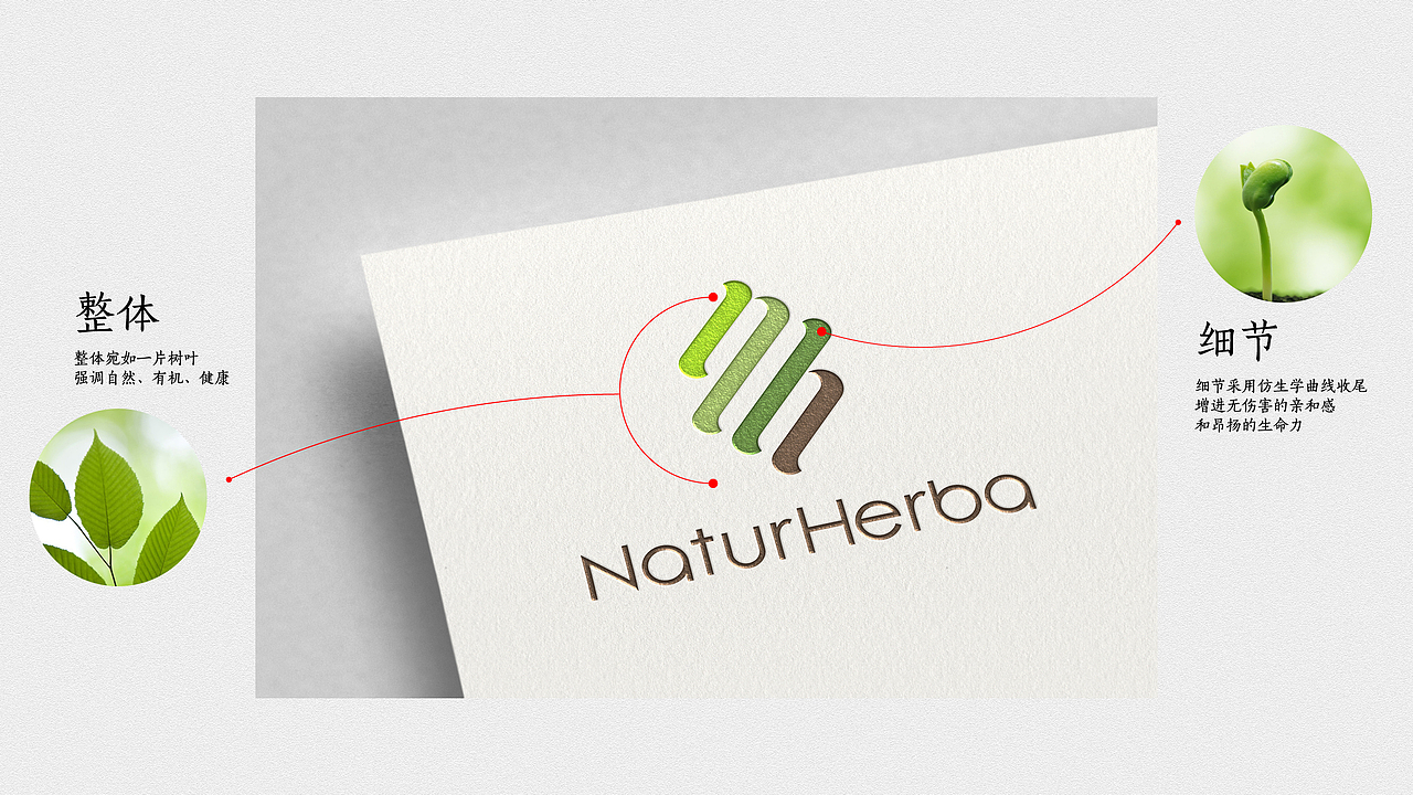 Naturherba 精油品牌LOGO+包装设计 | 还行原创设计（图ZMjY3MzAwNjk2） - 包装 - 站酷设计师还行包装设计原创素材 - 站酷ZCOOL
